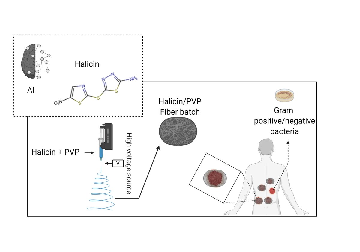 MDPIpharma's tweet photo. #mdpipharmaceutics AI is progressively being utilized in antibiotic discovery, in which a newly discovered antibiotic #Halicin, is used as a potential antibacterial dressing that treats skin infections caused by antibiotic-resistant bacteria.
Read more: https://t.co/Le7QJbmOHT https://t.co/JfoPaalDS0