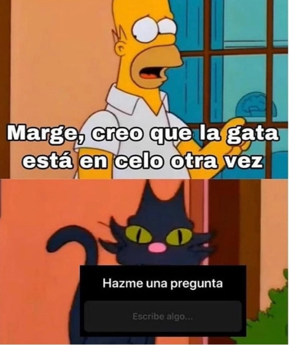 elcuencano98's tweet photo. hay el aburrimiento .....dicen https://t.co/FYVfiF8Hs1