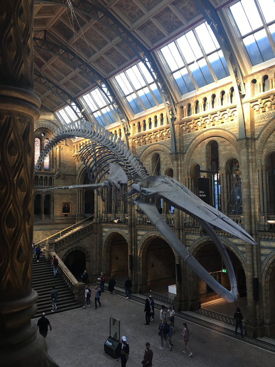 ロンドン自然史博物館 Twitter પર હ શટ ગ