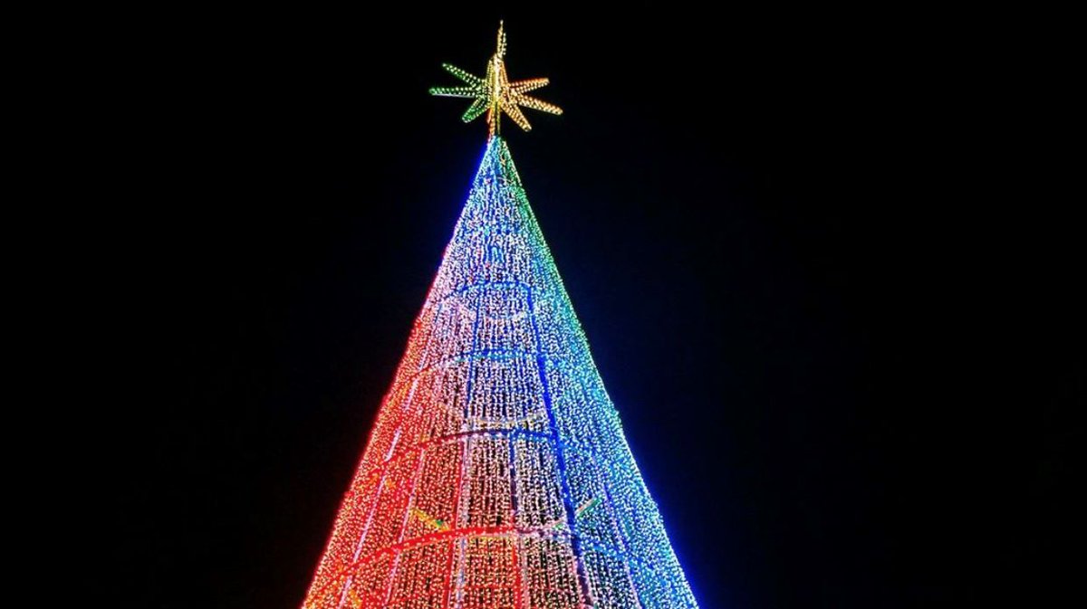 BrownPalace's tweet photo. Right around the corner from the #BrownPalace Hotel, the #MileHighTree is back in all its 110-foot-tall glory and open all season long on 16th Street Mall at Welton Street. For more information @visitdenver or please visit https://t.co/jpPGsJqnoL 😊🎄 https://t.co/bJlReWI5IV