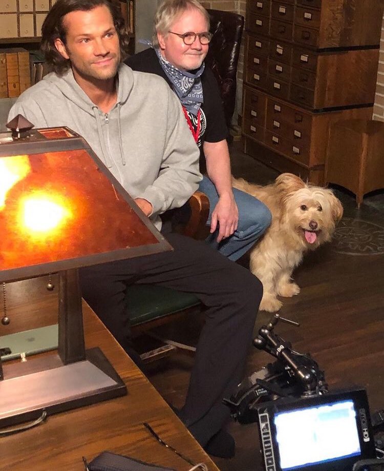 deeplyrk's tweet photo. The fact that this puppy is a better actress than Misha https://t.co/q7AvfZ8i4A