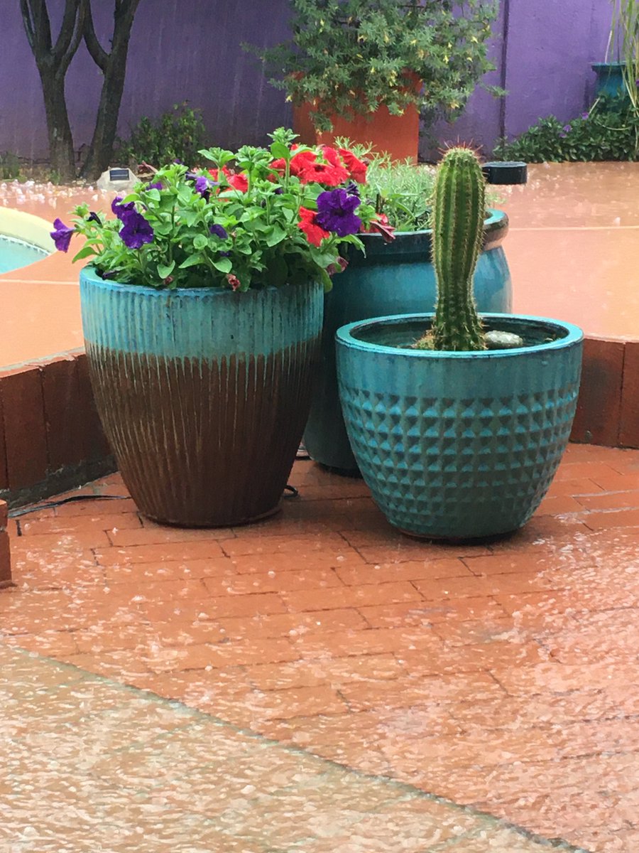 City of Scottsdale tweet media