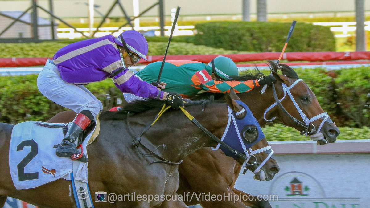 Tito Fuentes Mannygerry Twitter