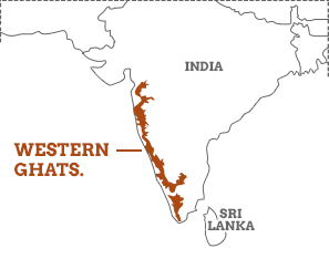 SaveIndianBiod1's tweet photo. @nahluwalia20 @Indian_Rivers Western Ghats considered as one of earth’s 8 “biodiversity hotspots” feeds number of rivers of West &amp; South India providing water to 40% of India. 

#EIA2020 will allow 70 metre wide roads through protected areas resulting in death of biodiversity. 

#InternationalMountainDay https://t.co/HAqLKiuZK8