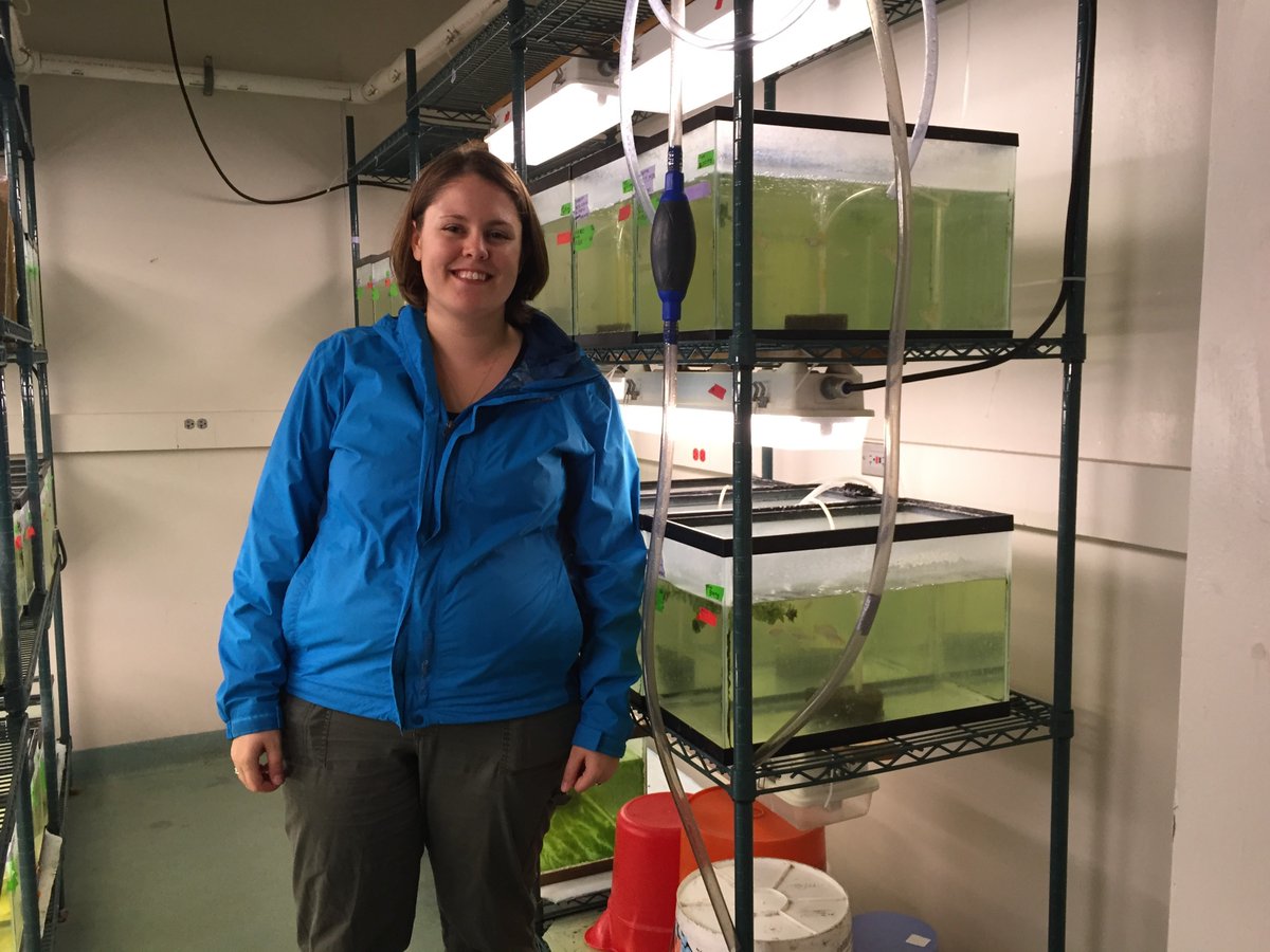 AnimBehSociety's tweet photo. Liz Lange @liz_c_lange will be running our next #ABSTakeover!
Tune in on Mon Dec 14 to learn about #fish, #baboons, #SocialEnvironment, #development, #LifeHistory, #AlternativeReproductiveTactics, #behavior, #fitness, #theory, & #LongTermData. Plus cute #tripawd doggo pics! https://t.co/DthhYCUhpU