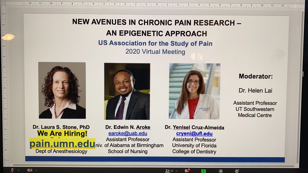 kingneuro's tweet image. Chatting about epigenetic mechanisms in #pain @laurasstone @Yenisel_CruzA Edwin Aroke.  Check it out.  #USASP2020