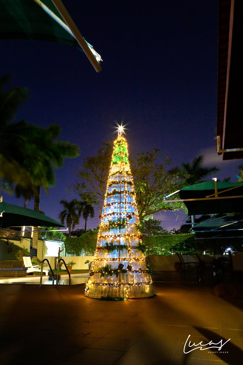 djinfido's tweet photo. I did a shoot for this beautiful art piece of the @MckingtorchAfri Christmas Tree made of 401 plastic waste bottles from the environment of Accra. This Christmas Tree was installed in the residence of the @AusAmbGHA. An incredible waste to art piece by @MckingtorchAfri https://t.co/vH1ERm26Fj