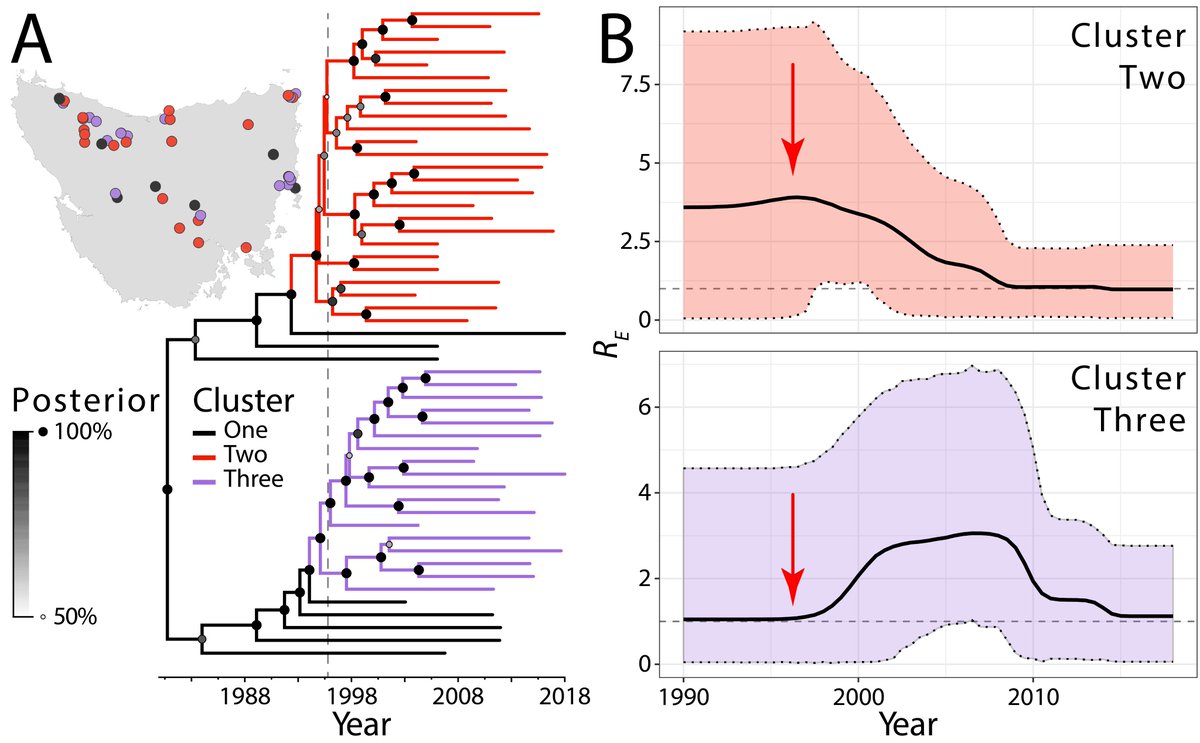 We find this pattern even when allowing for heterogeneity in rates of transmission across the tumor phylogeny. In all, it seems the rate of transmission of DFTD appears to be slowing. 11/n