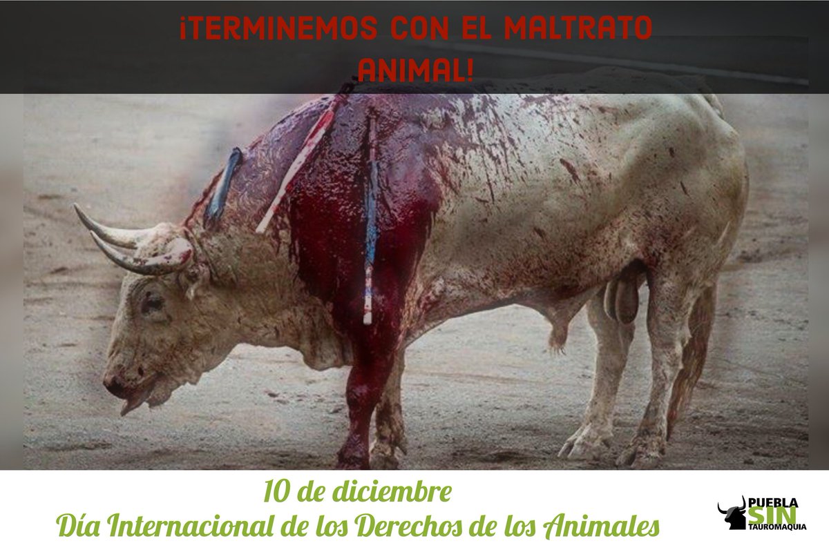 #DíaInternacionalDeLosDerechosDeLosAnimales #10DeDiciembre
Todas y todos tenemos la obligación moral y jurídica de respetar a los animales, son conscientes de ellos mismos y de su entorno, además tienen Derechos expresos en Leyes y Declaraciones. ⏬👇⏬