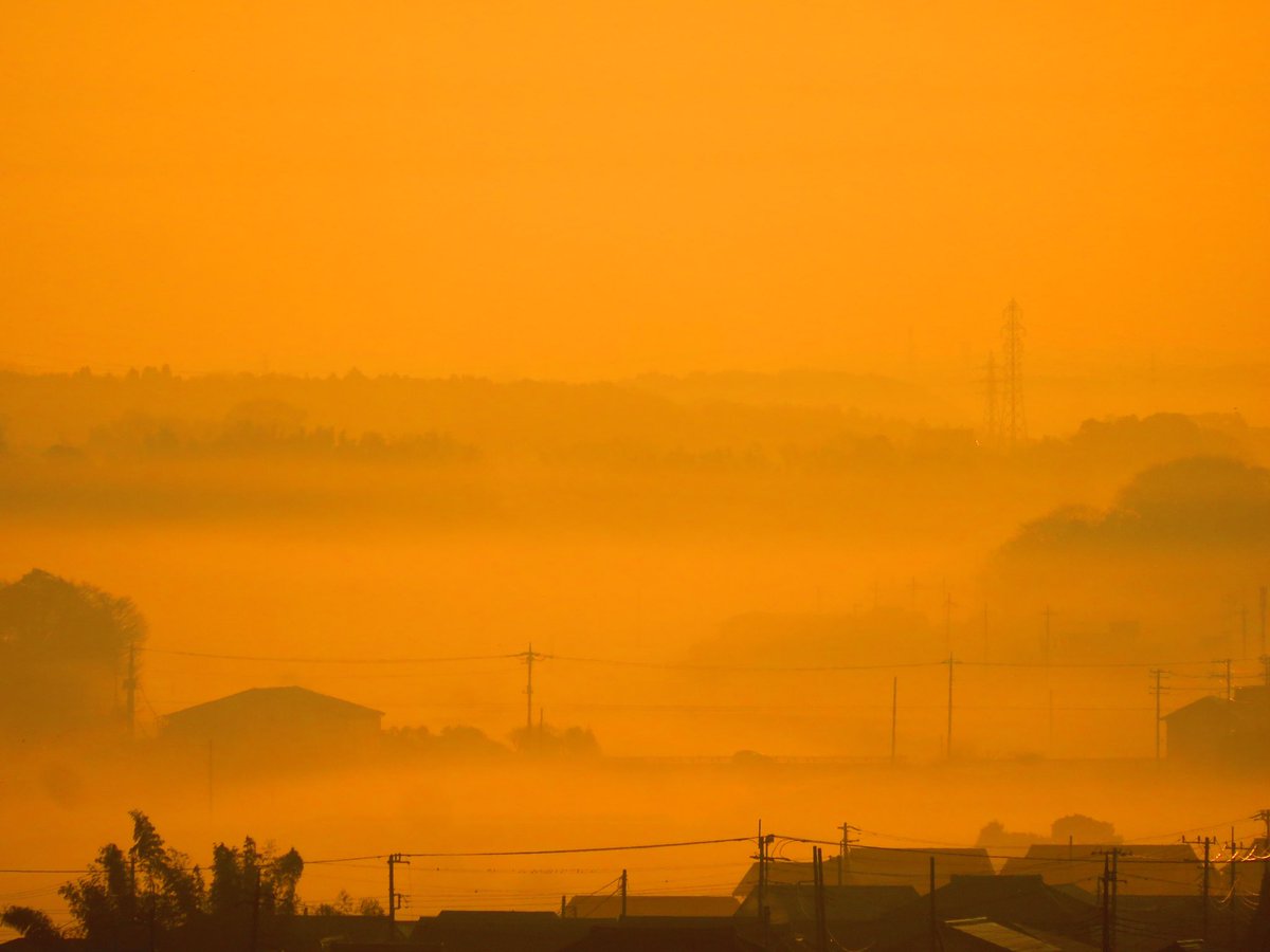 荒木健太郎 Twitter પર 朝陽がさして霧っぽい街が黄金色に染まっています