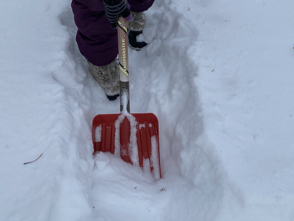 ColleenDueck's tweet image. We were a busy crew today! Took part in #HourOfCode2020 and created our own BAM and snow maze to #FinishStrong. #spslearn #engagedstudents ⁦@SchoolLakeridge⁩ 🌲 ❄️ 💻