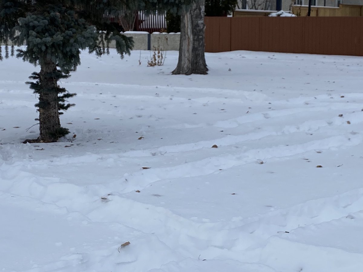 ColleenDueck's tweet image. We were a busy crew today! Took part in #HourOfCode2020 and created our own BAM and snow maze to #FinishStrong. #spslearn #engagedstudents ⁦@SchoolLakeridge⁩ 🌲 ❄️ 💻