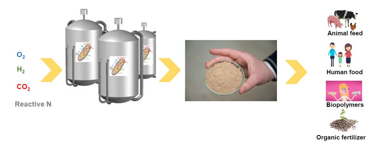 ie-net webinar op 15/12: Verlicht waterstof binnenkort de Vlaamse voetafdruk op ons milieu?

Met bijdrage van Avecom: Kunnen we straks zelfs voedsel produceren van waterstof en CO2?

ie-net.be/civicrm/event/…