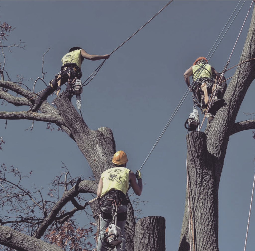 Awesome photo of the TBJ climbers during a crane-assisted removal!
