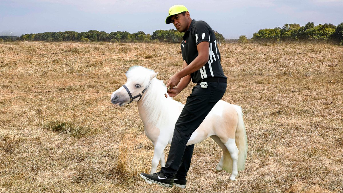 You've heard of Elf on a Shelf, but what about ...