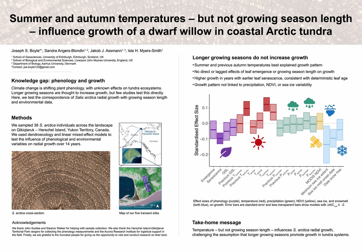 Chuffed with 3rd place in the poster contest at #AC2020 for my work on #Arctic willow growth response to #phenology and #environmental conditions with <a href="/IslaHMS/">Isla Myers-Smith</a> @jakobjassmann @SandyAngersB <a href="/TeamShrub/">Team Shrub</a>
