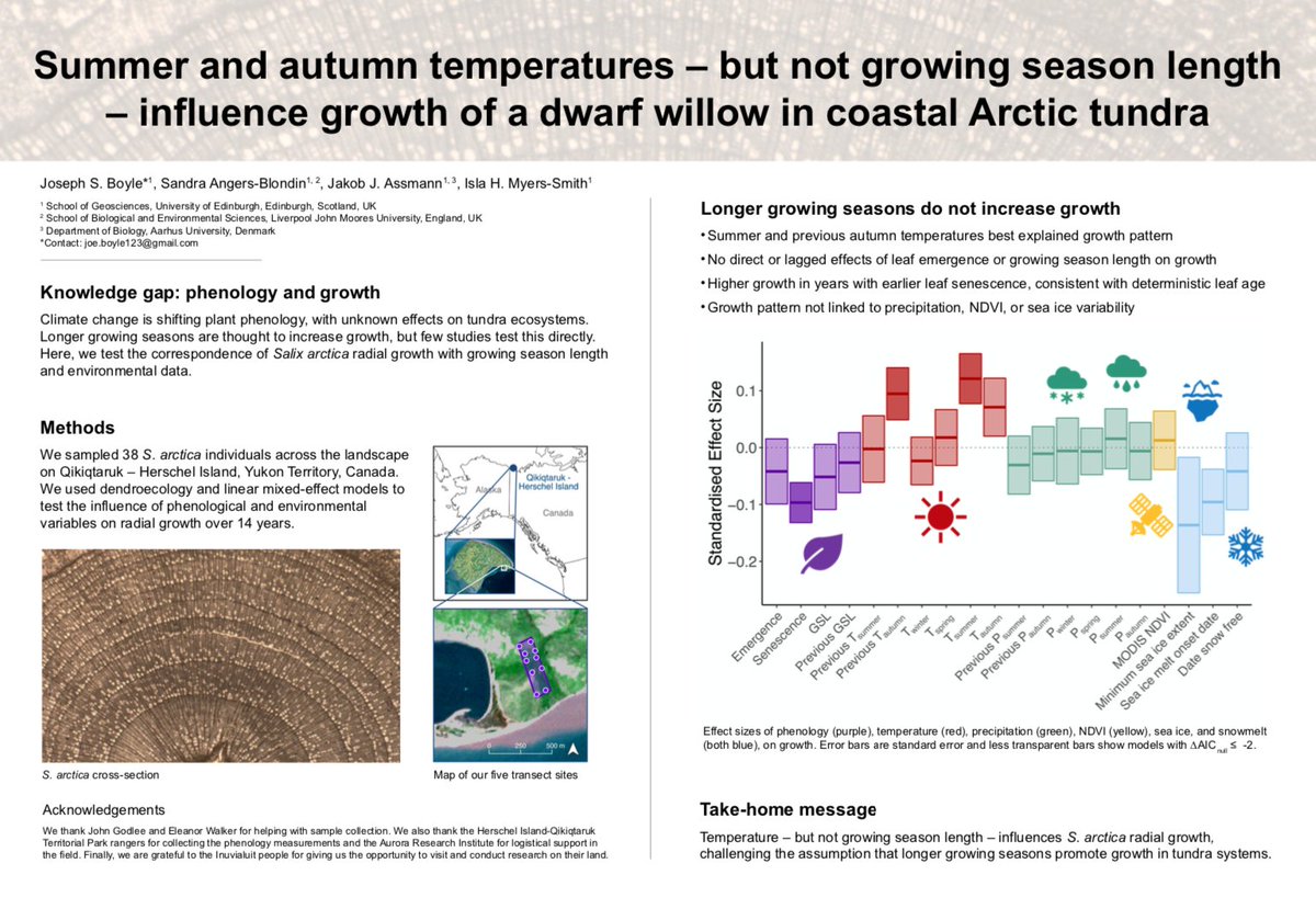 Huge congratulations to <a href="/JoeScottBoyle/">Joe Boyle</a> for his <a href="/ArcticNet/">ArcticNet</a> poster award!!! Joe's poster explores how summer temperatures – but not growing season length – influence the growth of Arctic willows. So proud of Joe and our Northern collaborations!

#AC2020 <a href="/EdinburghUni/">The University of Edinburgh</a> <a href="/GeosciencesEd/">School of GeoSciences @ University of Edinburgh</a>