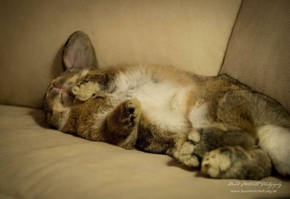 Throwback Thumps - miss you bud 🐰 ❤️