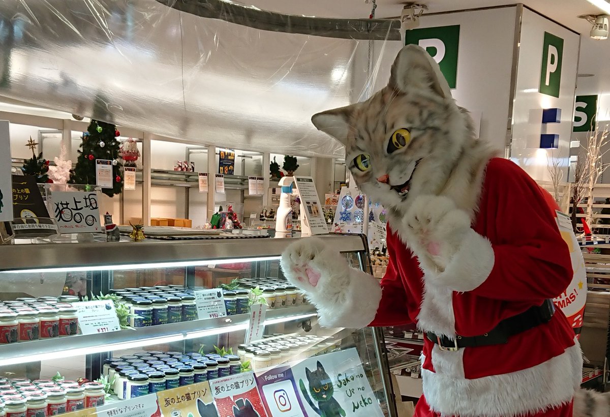 坂の上の猫 源田 晃一 公式 On Twitter おはようございます 坂の上の猫です 名古屋東急ハンズアネックス２日目 今日も みっくん 頑張ってくれます プリン 保護猫 坂の上の猫プリン 猫プリン 猫好き 猫 猫好きさんと繋がりたい ネコのいる