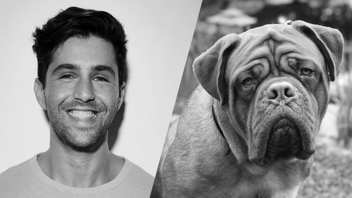 Inspired by the classic film, Turner & Hooch is a buddy comedy starring  @ItsJoshPeck and his partner, a sweet and slobbery mastiff. Coming to  @DisneyPlus.