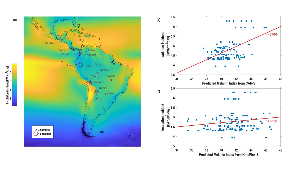 by linking solar radiation with predicted skin colour. We didn't have an independent geno-pheno Native Am dataset to validate our model, but we show that our predicted skin colour in highly Native individuals correlates much better with solar radiation across the Americas.