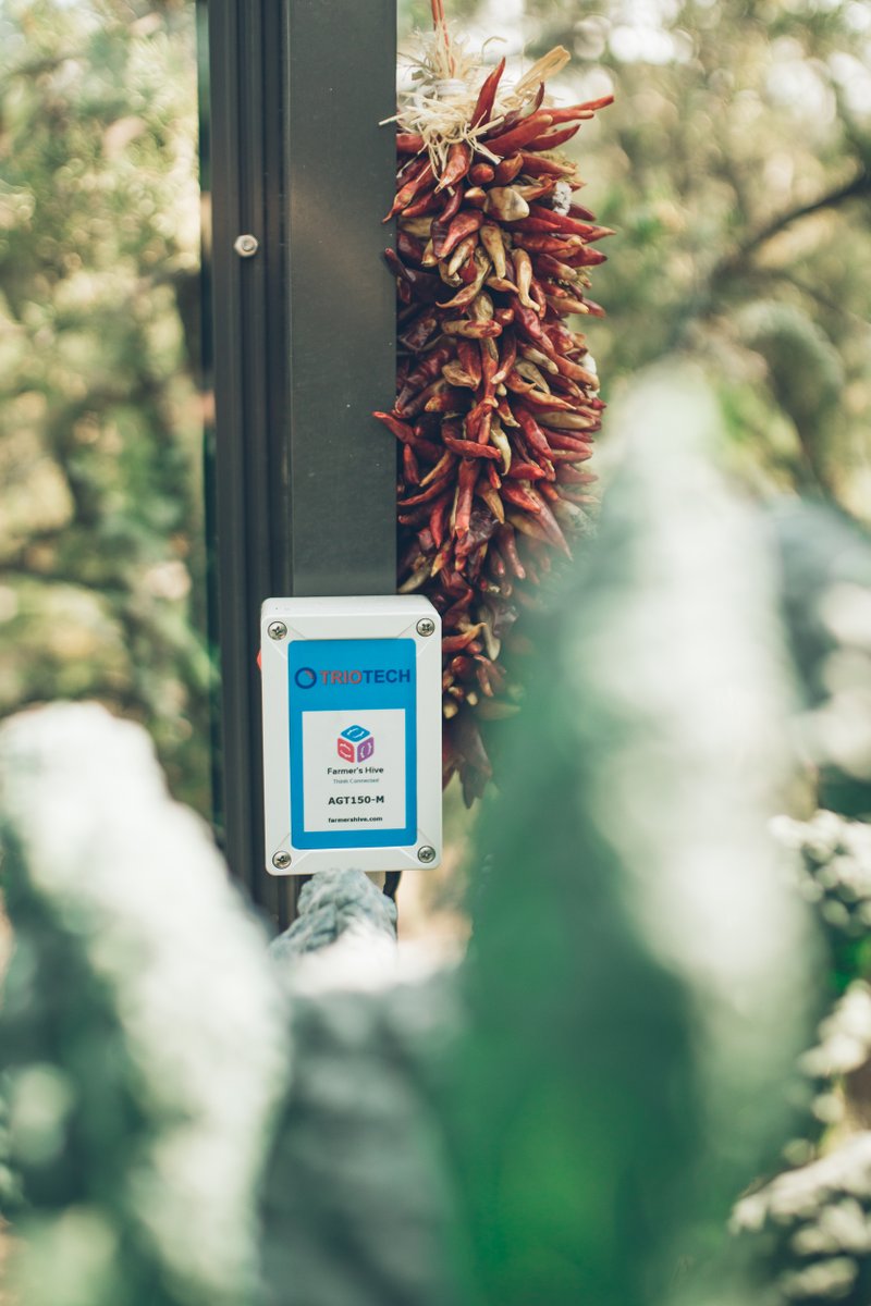 unitycloudware's tweet image. We have a special Christmas discount for all gardening hobbyists and farmers! Use discount code FHCHRISTMAS2020 to get a 10% discount on all Farmer&apos;s Hive products. store.ucwlabs.com/discount/FHCHR… #farmershive #farmer #gardening #iot #agriculture #christmas #holidayseason #agtech