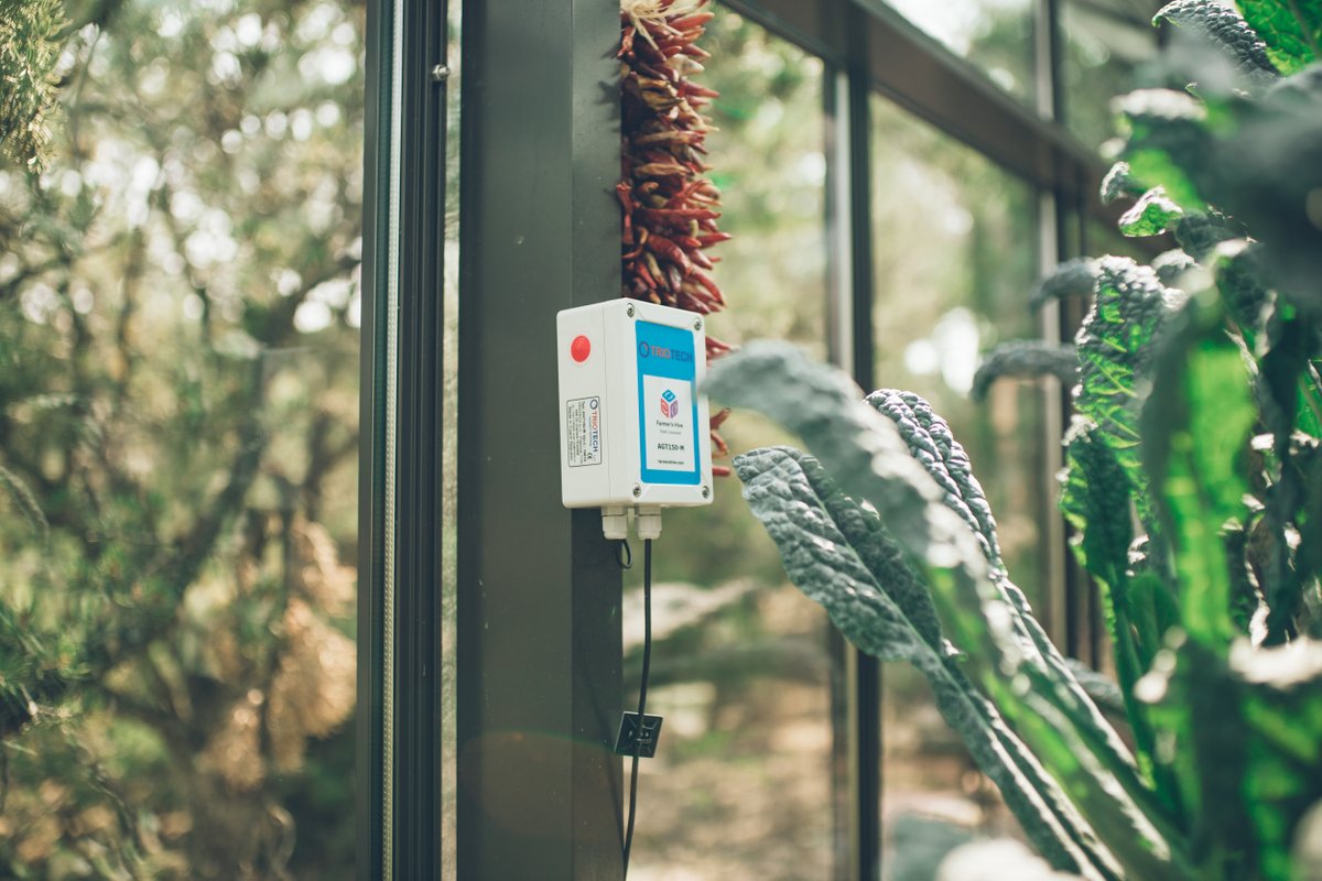 unitycloudware's tweet image. We have a special Christmas discount for all gardening hobbyists and farmers! Use discount code FHCHRISTMAS2020 to get a 10% discount on all Farmer&apos;s Hive products. store.ucwlabs.com/discount/FHCHR… #farmershive #farmer #gardening #iot #agriculture #christmas #holidayseason #agtech