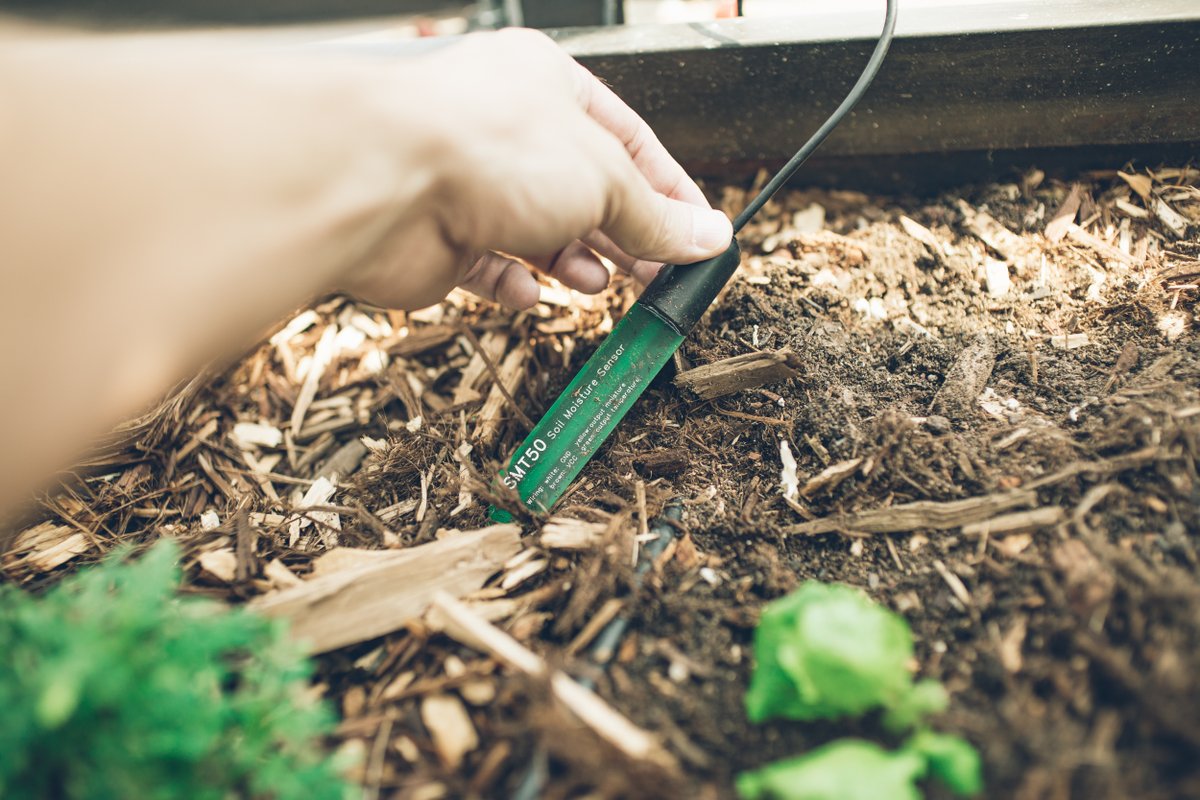 unitycloudware's tweet image. We have a special Christmas discount for all gardening hobbyists and farmers! Use discount code FHCHRISTMAS2020 to get a 10% discount on all Farmer&apos;s Hive products. store.ucwlabs.com/discount/FHCHR… #farmershive #farmer #gardening #iot #agriculture #christmas #holidayseason #agtech