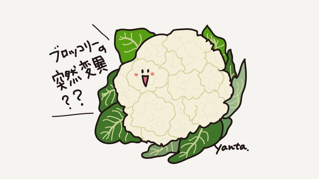 Yanta Lineスタンプ ストックイラスト 冬が旬 カリフラワー 生でも食べられるって聞いたけど やっぱりゆでてマヨネーズかな 旬の食べ物 カリフラワー らくがき イラスト Yanta Lineスタンプ ストックイラスト 冬が旬 カリフラワー 生でも食べられるって聞いたけど やっぱりゆでてマヨネーズかな 旬の食べ物 カリフラワー らくがき イラスト