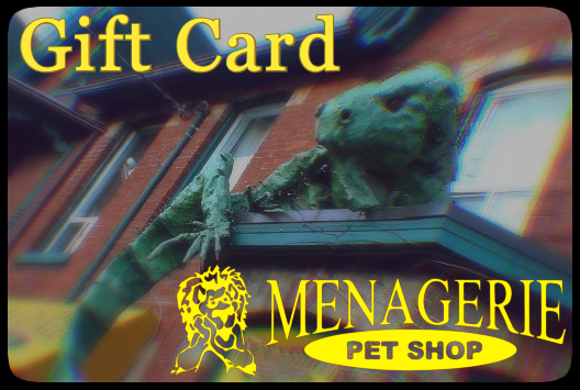 Menagerie Pet Shop tweet media