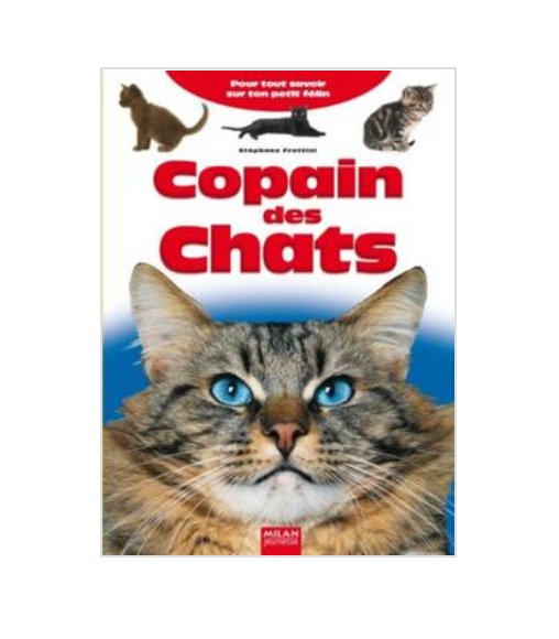 my_mangaria's tweet photo. @SiumiFive Ma Bible. Je l'avais emprunté une trentaine de fois à la bibliothèque mon père en pouvait plus de me voir le lire... alors que j'avais pas le droit d'en avoir moi non plus. https://t.co/0yUIUYoLq0