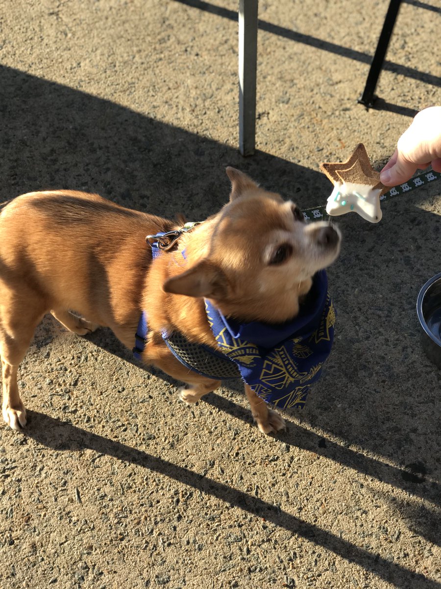 Great service, great food, great BEER!