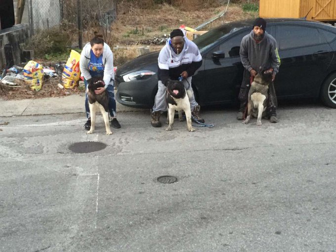 Out with the dogs... https://t.co/dj1uIsSNxI<a href="/tag/mytwitteranniversary"class="tags"><span>#mytwitteranniversary</span></a>