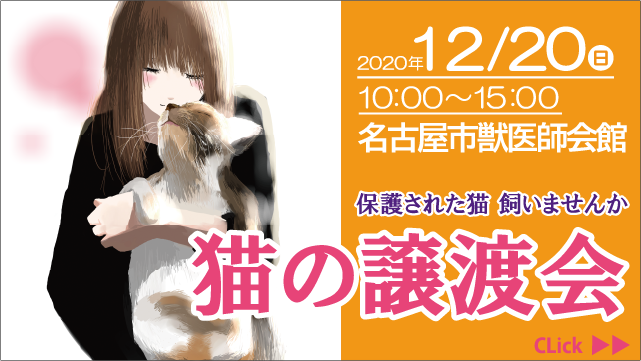 猫カフェねこまんまのtwitterイラスト検索結果 猫カフェねこまんまのtwitterイラスト検索結果