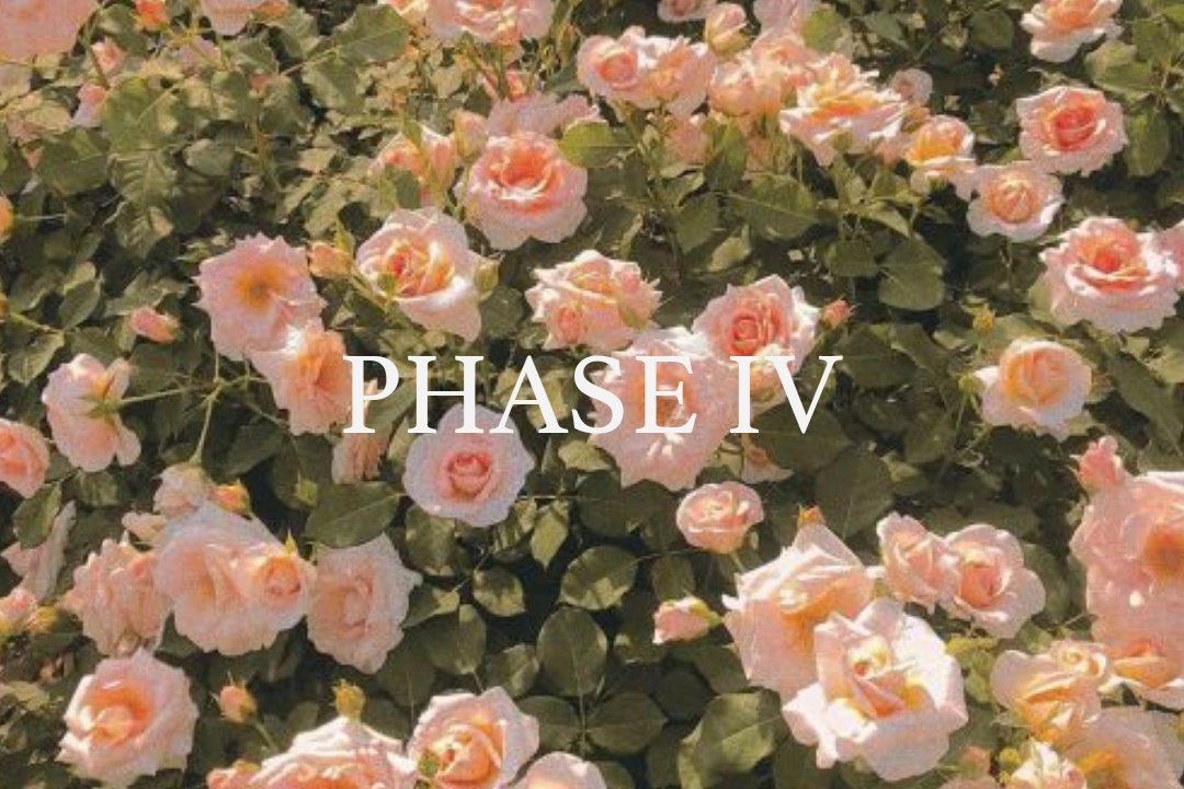 phiacants's tweet photo. #ITDPIV is out now. https://t.co/c50U9hZBIX