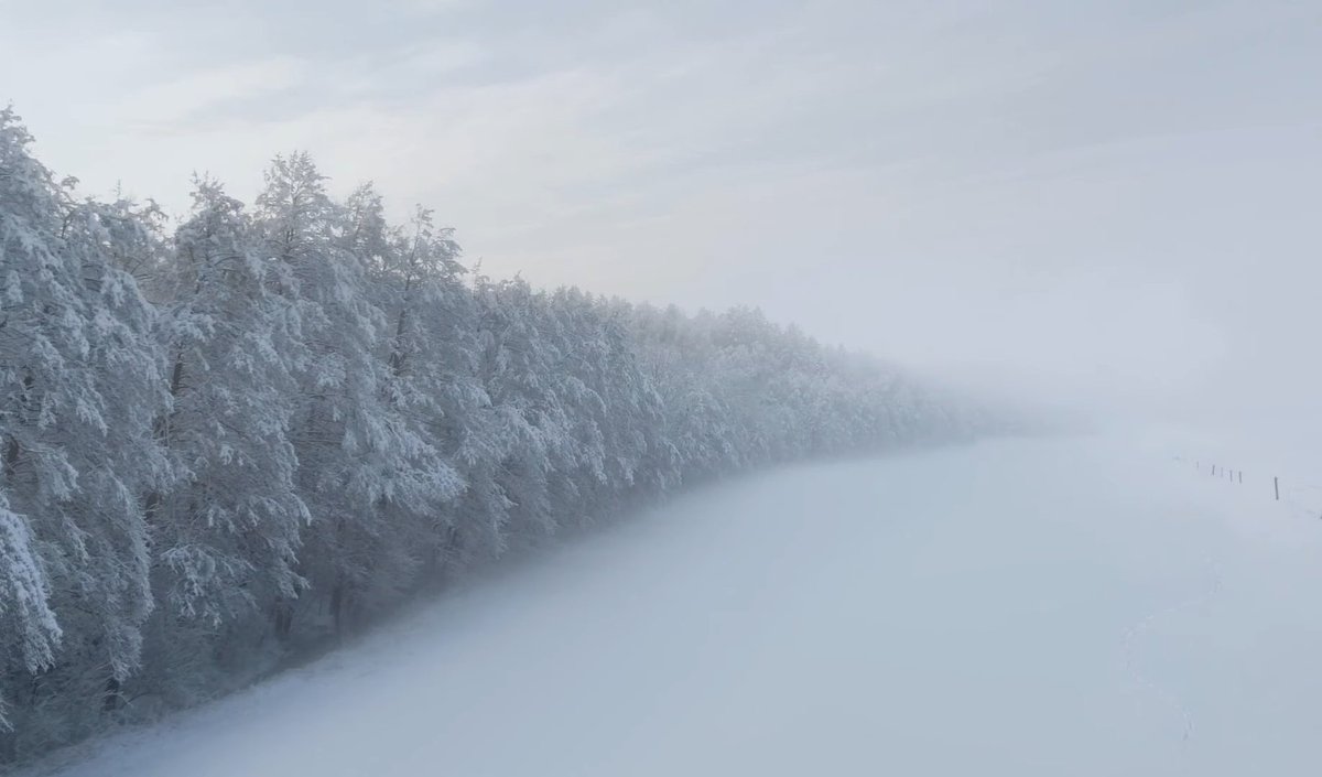 — songs from district 12 and beyond: the hunger games' stories told by evermore 