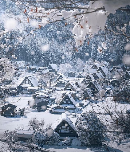 WorldJuanderer's tweet photo. Satisfy your winter wanderlust amid the landscapes of Shirakawa-go, Japan, where you’ll instantly be charmed by the beautiful uniformity of snow-covered pines, and traditional thatched farmhouses that echo the quaint coziness of a Studio Ghibli film. https://t.co/h9nsk826Mu