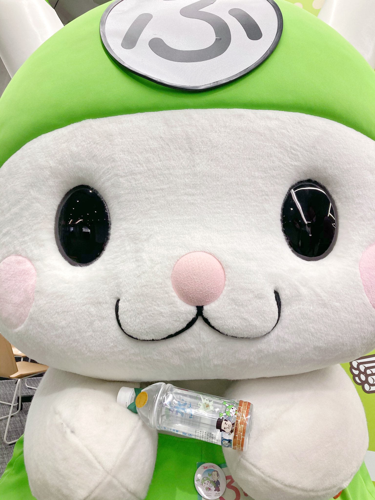 C2　ふっかちゃんシリコーン型　深谷市のアイドル C2ふっかちゃんシリコーン型深谷市のアイドル