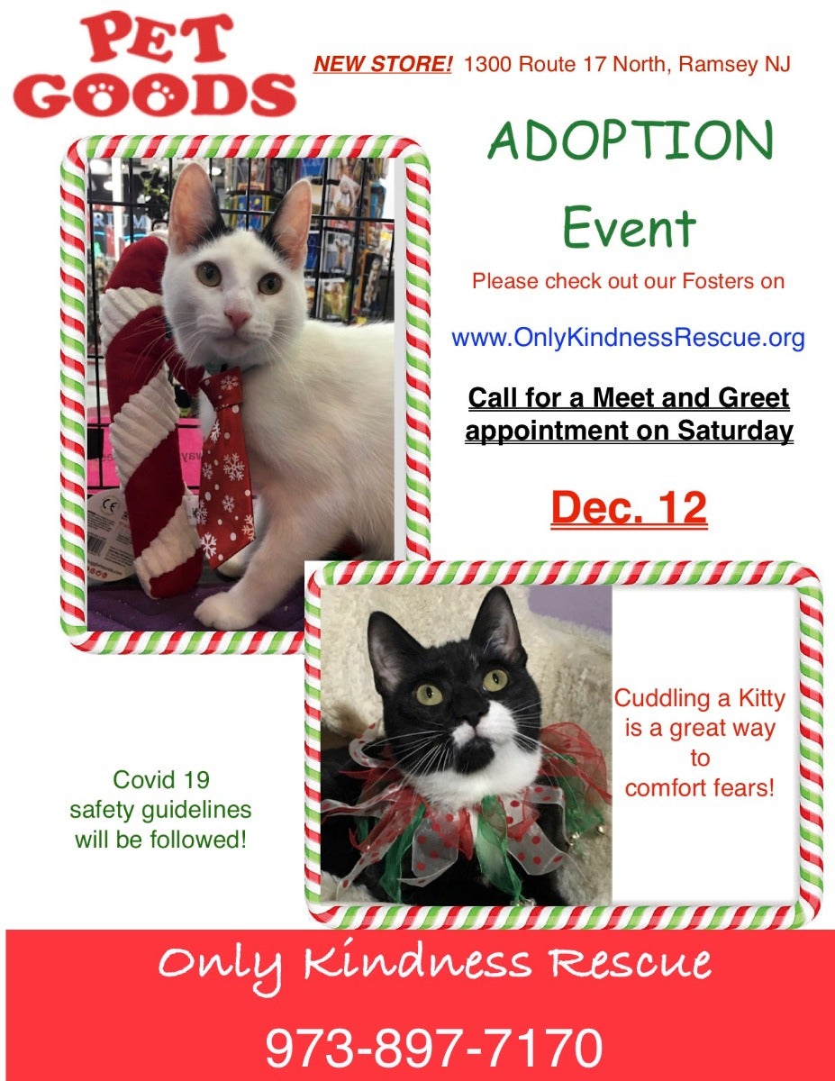 MahwahPatch's tweet photo. Local Event: Only Kindness Rescue Adoption Event https://t.co/DxyFKsYHMZ https://t.co/HJj9nr1Vpg