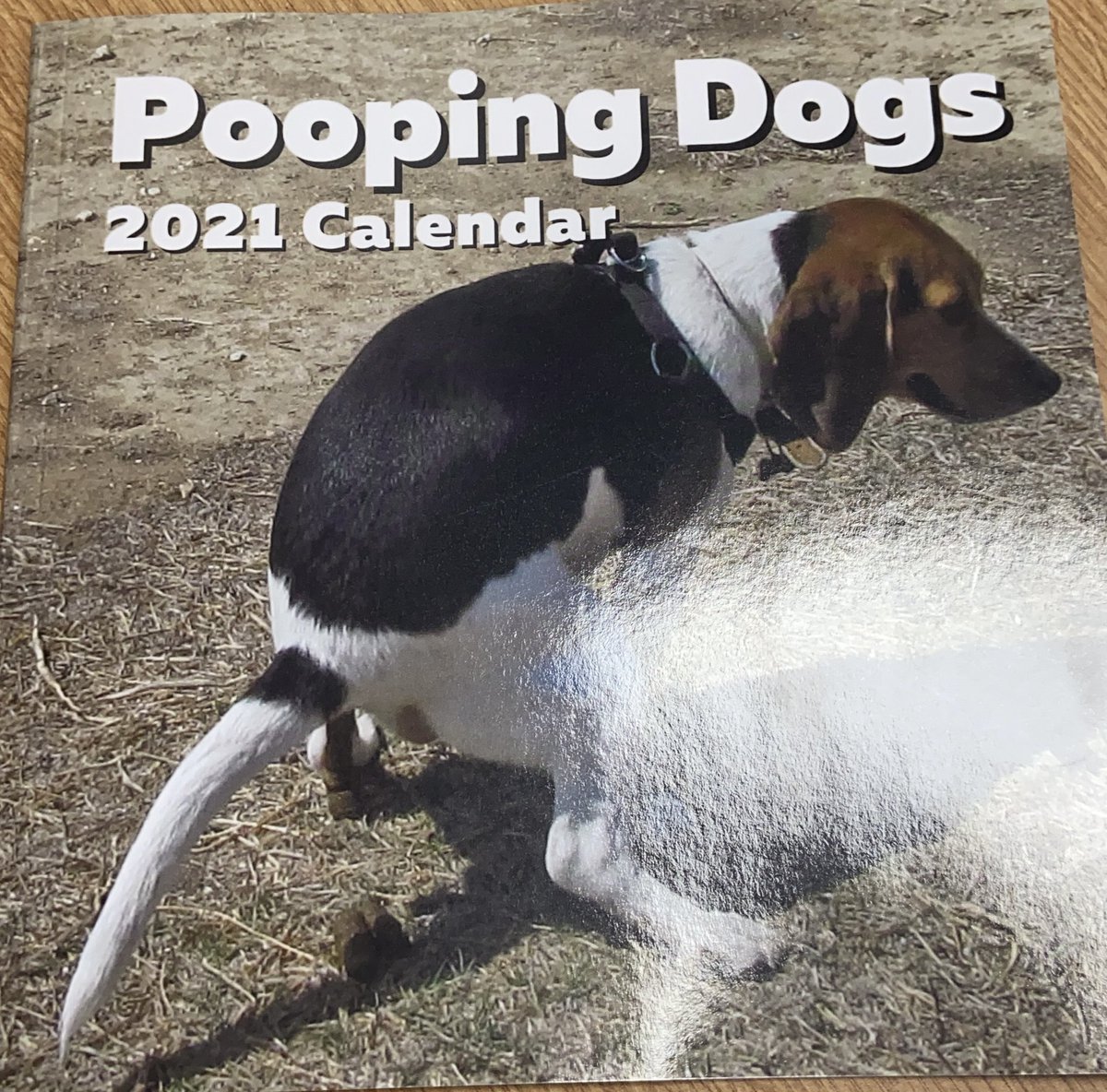2SillyLabs's tweet photo. The bald human that feeds us received this today in a #SecretSanta. To celebrate Norman thought he would recreate it in our dog room. #Baldy was not as appreciative as Norman thought he would be! #BadDog https://t.co/4RaatHYhpi