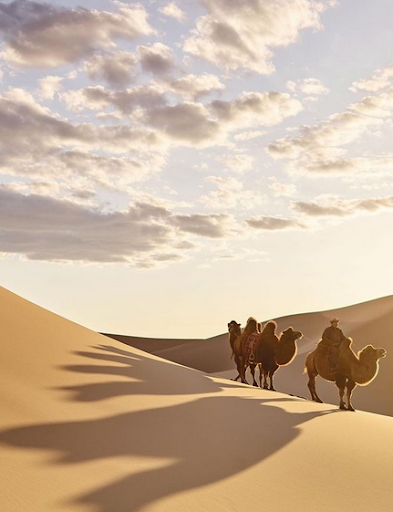 WorldJuanderer's tweet photo. Jetsetters are today’s new nomads, who flock to locales that provoke their imagination. Such is an experience one could find in Mongolia’s arid landscapes, where one can immerse themselves in the simple living of herding communities, all while gazing at the never-ending emptiness https://t.co/0FfRtYHwgR
