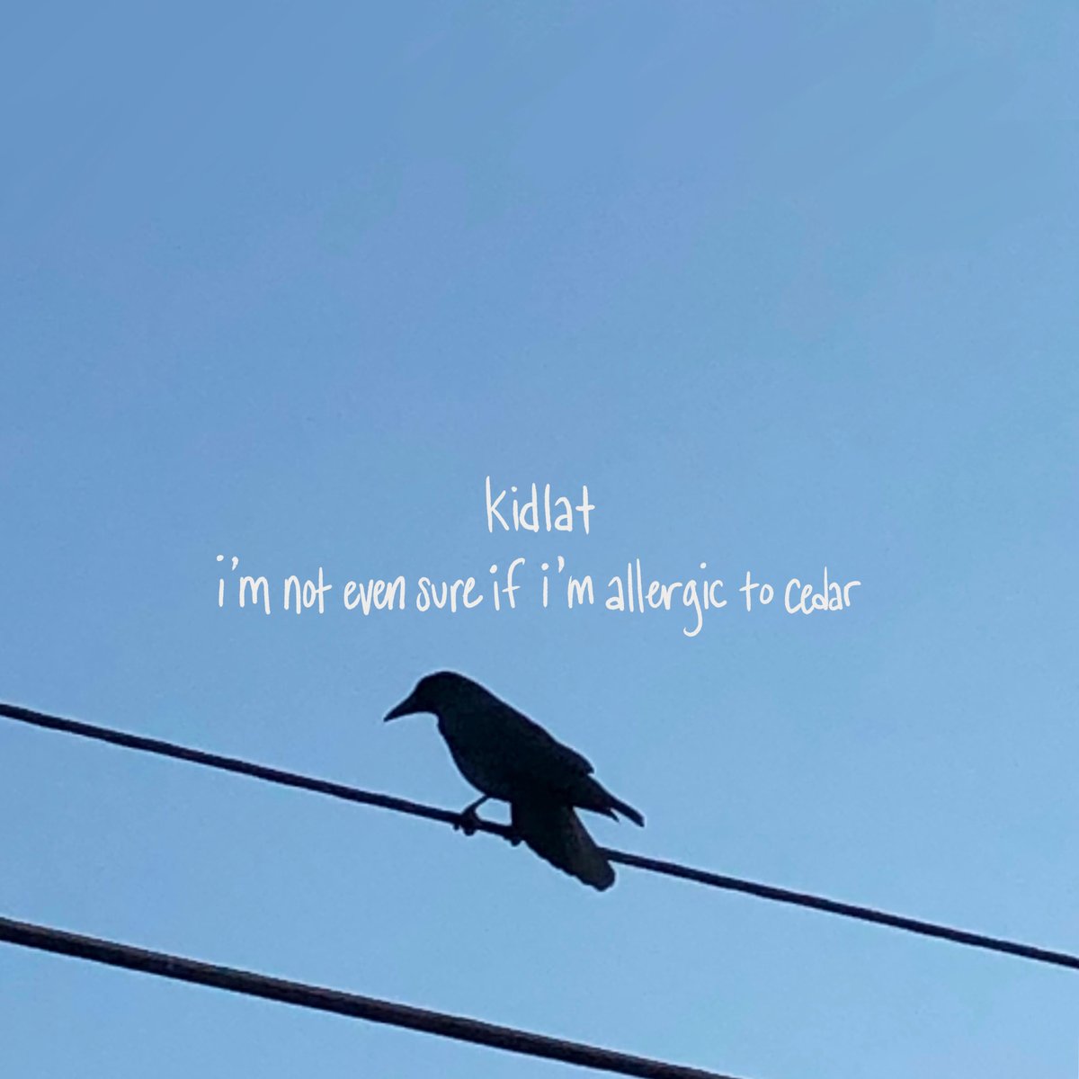 .<a href="/KidlatPunch/">Kidlat</a>'s new single will make your heart and eyes swell 🤧

"I'm Not Even Sure If I'm Allergic to Cedar" is out now ⬇

smarturl.it/Kidlat_Cedar