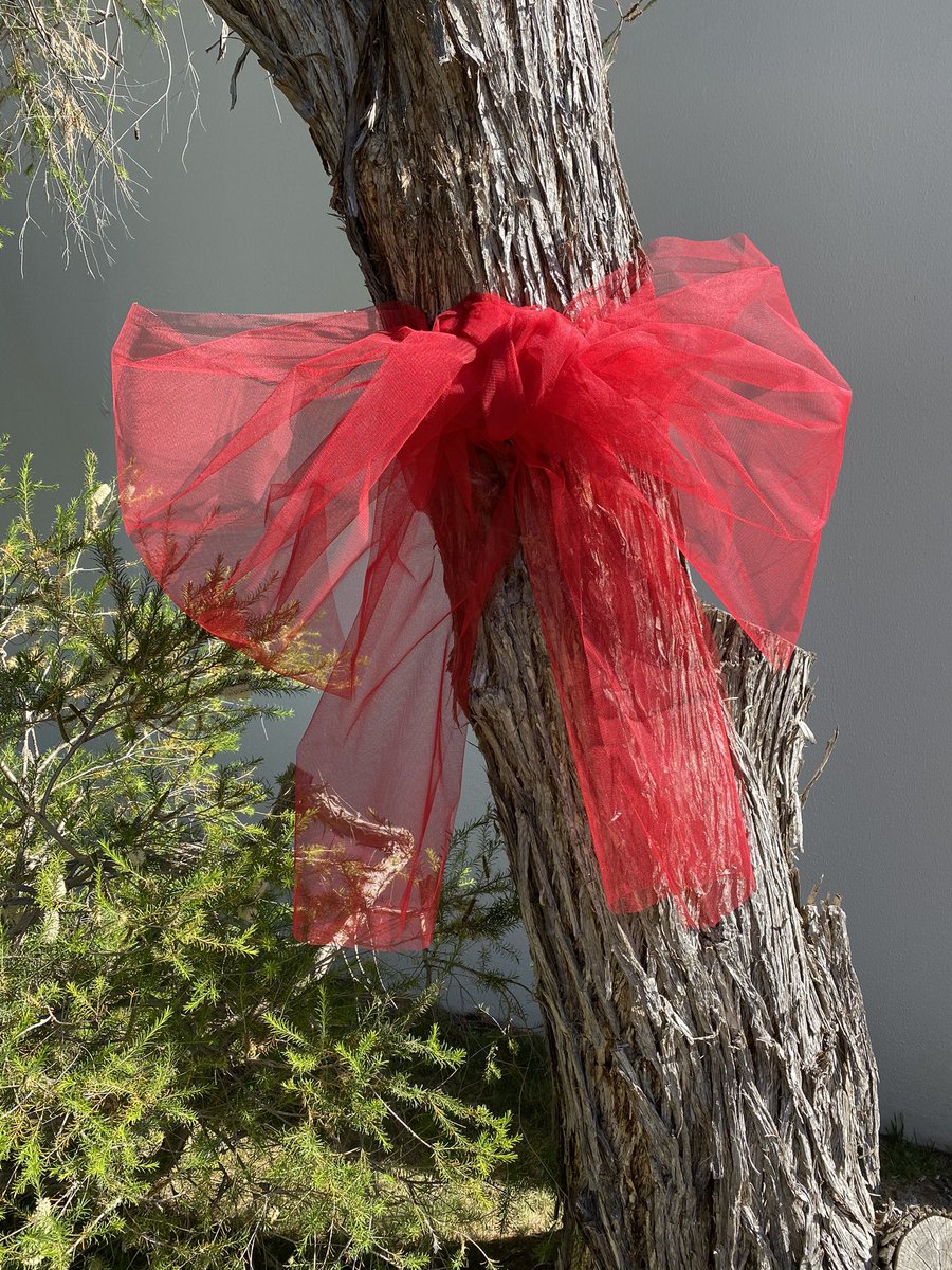 irlembaustralia's tweet photo. Delight to experience Yarralumla &amp; it’s trees festooned with such lovely red bows 🎀 marking the Festive Season #NollaigShona @irlembaustralia joins @YRA_ACT to add our unique Irish ☘️ colour 🇮🇪 to the fun &amp; celebration #CBR #Canberra @ToBeIrish @GlobalIrish #irishatchristmas https://t.co/J8a3oadSwl