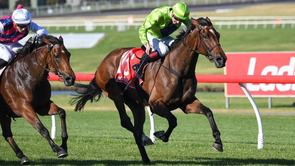 nzracingnews's tweet photo. In-form Tavistock mare #TraleeRose a stayer of the future. @CambridgeStud @KarakaChat @wilde_racing

https://t.co/uPiwVGv87j https://t.co/s2Yzful1SS