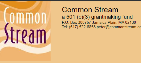 The financial backers of the CPPA include Common Steam (pushers of the economic justice agenda) and the New World Foundation, whose president is a former Clinton stooge.