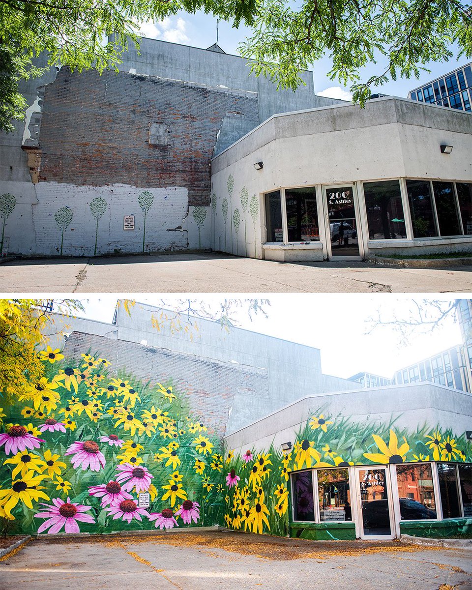 A2ArtCenter's tweet photo. Before-and-After pictures of #A2ACMurals walls in #AnnArbor’s emerging creative district. #thread
Artist: @0uizi
Location: 200 S Ashley
Artist Site: https://t.co/EU7j4BOWq5
Sponsor: Dug and Linh Song
#a2ac #murals #muralart #publicart https://t.co/MniVqetpp6