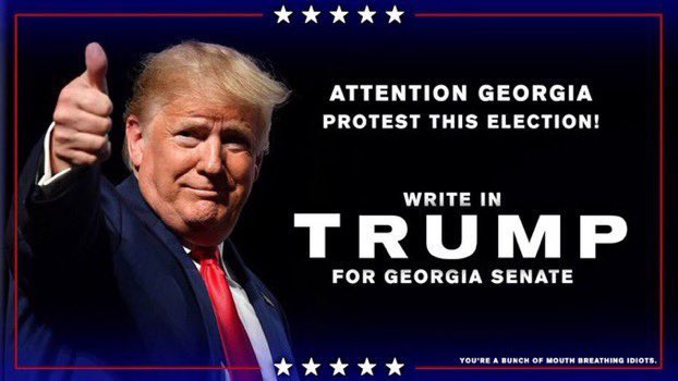 job9987's tweet photo. @Perduesenate @Mike_Pence @KLoeffler #vote @realDonaldTrump he’s the right man for the job! #writeintrump4ga https://t.co/lMmzkGrThp