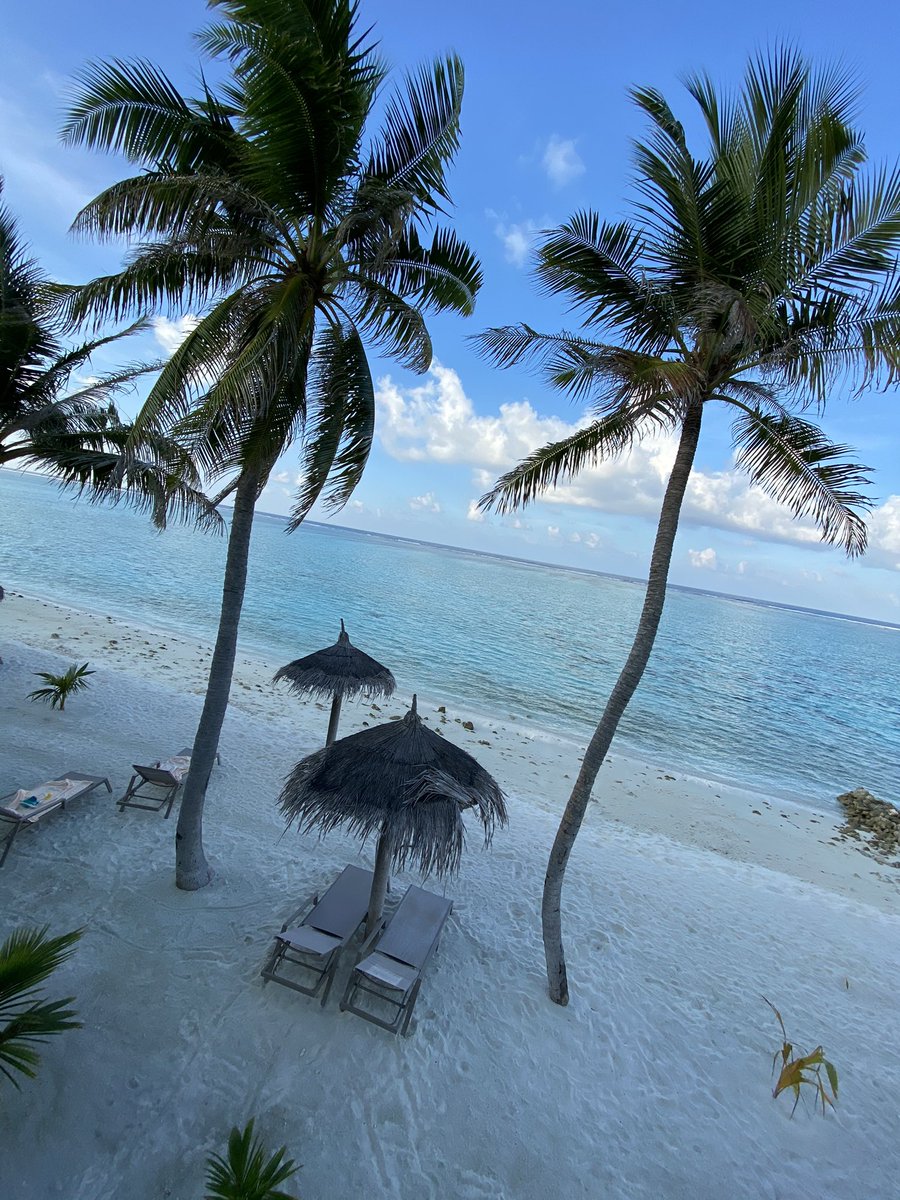 dansimons8's tweet photo. Not a bad view to wake up to 🤪 https://t.co/FqESVufUjF