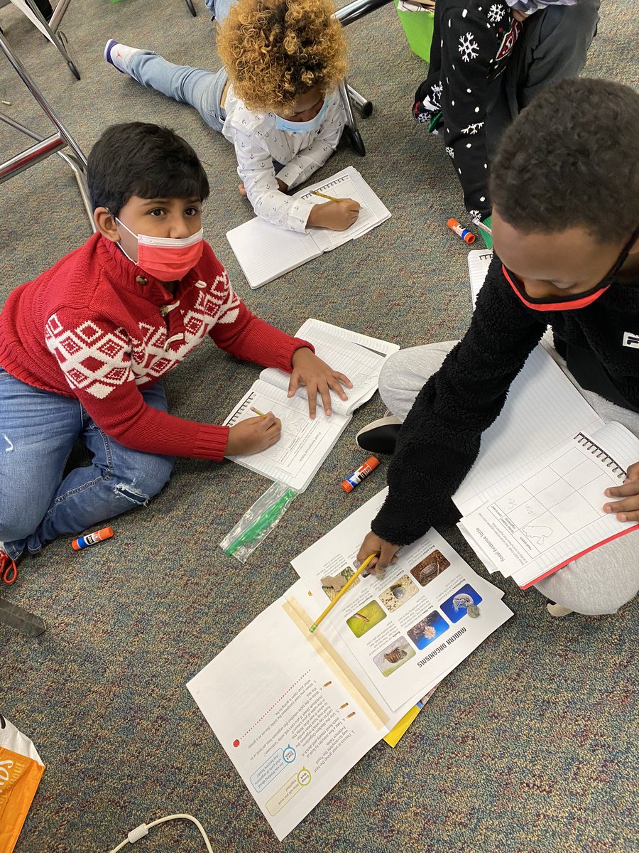 DJeneault's tweet photo. Fossil CSI lab. These kiddos are so amazing each day. They are my will power to keep showing up. #lovethesekiddos #science #claimsandevidence #sciencenotebooks @ocmboces @SmithsonianScie @CarolinaBio @c_leece @hollylynn48 #OCMscience https://t.co/aK3wVitLZZ
