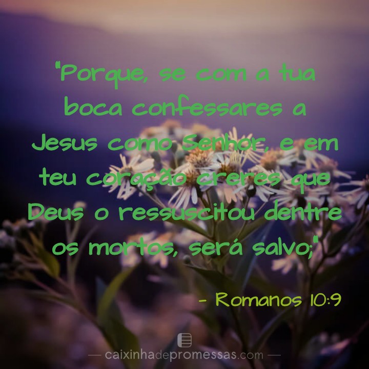 joseluizsouto2's tweet image. 